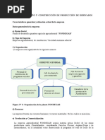 Etapas Del Diseño y Construcción de Producción de Derivados Lácteos