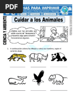 Cuidar A Los Animales para Segundo de Primaria