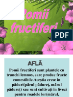 Pomii Fructiferi