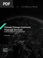 Climate Change Confronts Financial Services - A Benchmark Study On Climate Risk - 2