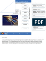 Psicopatologia y Neurotransmisores