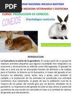 Curso Conejos