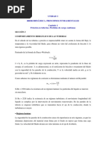 3.1.3 - Comportamiento Hidraulico de Las Tuberias