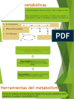 Tema 4 Rutas Metabolicas - Carbohidratos-Lipidos-Proteinas