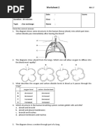 Worksheet Grade 8 Gas Exchange