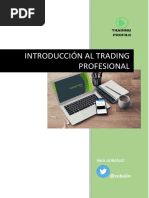 Guia Basica Trading Profesional