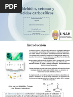 Aldehídos, Cetonas y Ácidos Carboxílicos