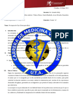 Informe Practica Cuy Grupo 6