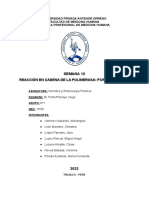 Informe G&e-S10