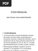 Plexo Braquial