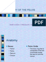 Anatomy of The Pelvis: Fernando J. Peraldo, MD, MPH