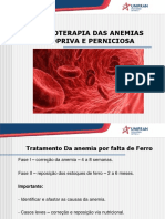 Farmacoterapia Das Anemias Ferropriva e Perniciosa - 2022 PDF