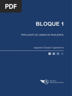 Bloque 1: Aspectos Técnico-Operativos