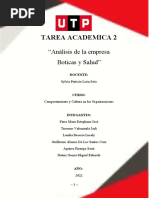 Tarea Academica II - Co