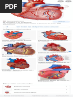 Corazon - Buscar Con Google