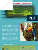 0deforestacion en La Amazonia Peruana