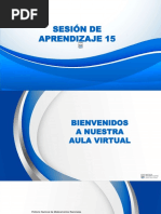 Sesion de Aprendizaje N°15 Petitorio Nacional de Medicamentos Esenciales