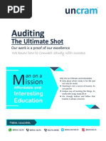 Auditing: The Ultimate Shot