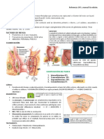 Fístula Anal