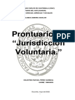 Prontuario de Jurisdiccion Voluntaria Completo 2