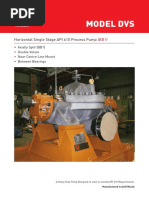 Model DVS: Horizontal Single Stage API 610 Process Pump