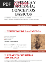 Anatomía y Fisiología - Conceptos Básicos