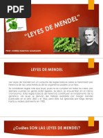 Leyes de Mendel