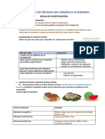 Los Alimentos y El Organismo Humano