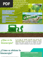 2.5 Bioenergia