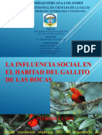 Exposocion Gallito de Las Rocas