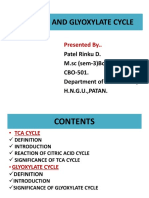 Tca Cycle and Glyoxylate Cycle: Presented By.