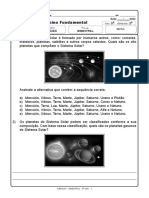 5ano Ciencias Bimestral