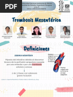 Trombosis Mesentérica