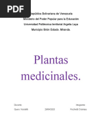 Plantas Medicinales2