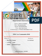 Rapport TP02 RIL Les Commandes DOS