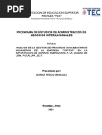 Monografia de Gestion Empresarial Topitop