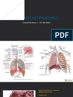 Aparato Respiratorio y Renal Av