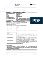 E1.1. Hoja de Ruta Nanotecnología y Fichas Descriptivas de Nanomateriales