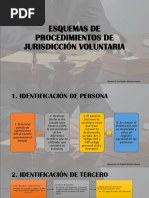 Esquemas de Procedimientos de Jurisdicción Voluntaria.