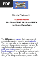 Kidneys Function Test