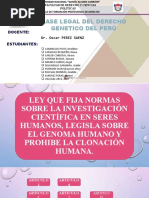 Genetico Ultimo