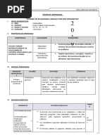 Sistema de Ecuaciones Lineales Con Dos Incognitas