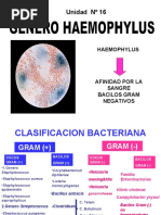 Genero Haemophylus y Brucella