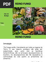 5-REINO FUNGI Fungos