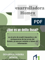 Desarrolladora Homex