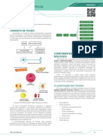 Livro - Tecido Eptelial