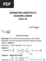 Aula 12 - Determinantes