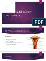 4 Patología Del Cuello y Cuerpo Uterino