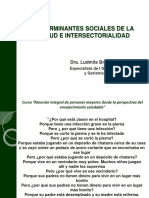 Determinantes Sociales de La Salud e Intersectoriadad