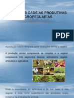 Principais Cadeias Produtivas Agropecuárias